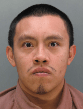 MichaelBourgeois2014