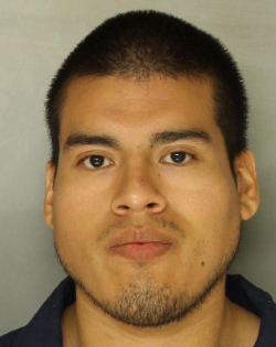 Thomas Lutz-Morrison